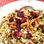 Wild rice with cranberries and pecans on a white plate