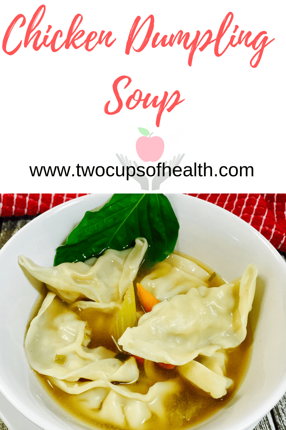 Chicken Dumpling Soup