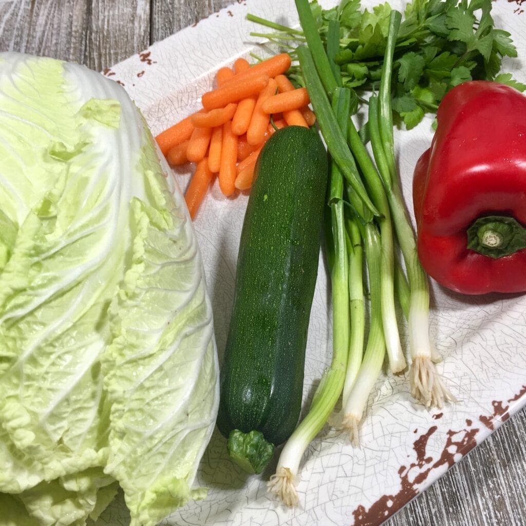 Cabbage, peppers, onions, carrots and cucumber on a white plate