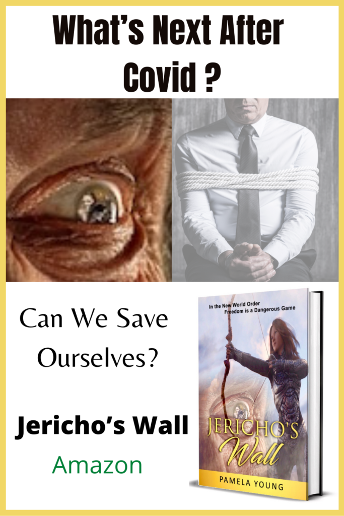 Jericho’s Wall book cover with the words, “What’s Next After Covid? Can We Save Ourselves?