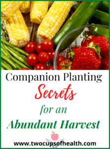 Companion Planting Secrets Pinterest pin