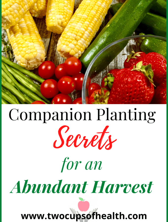 Companion Planting Secrets Pinterest pin