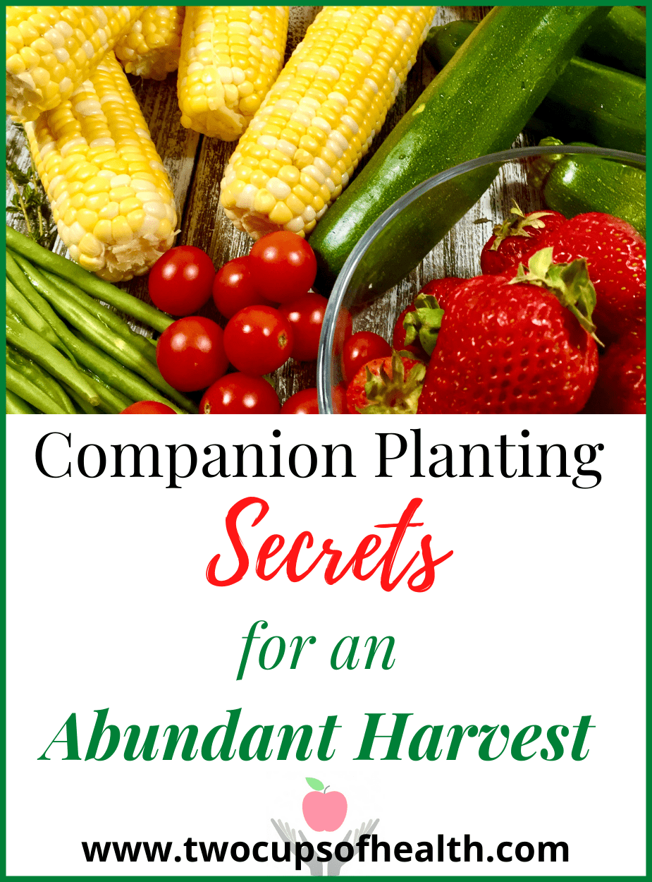 Companion Planting Secrets Pinterest pin